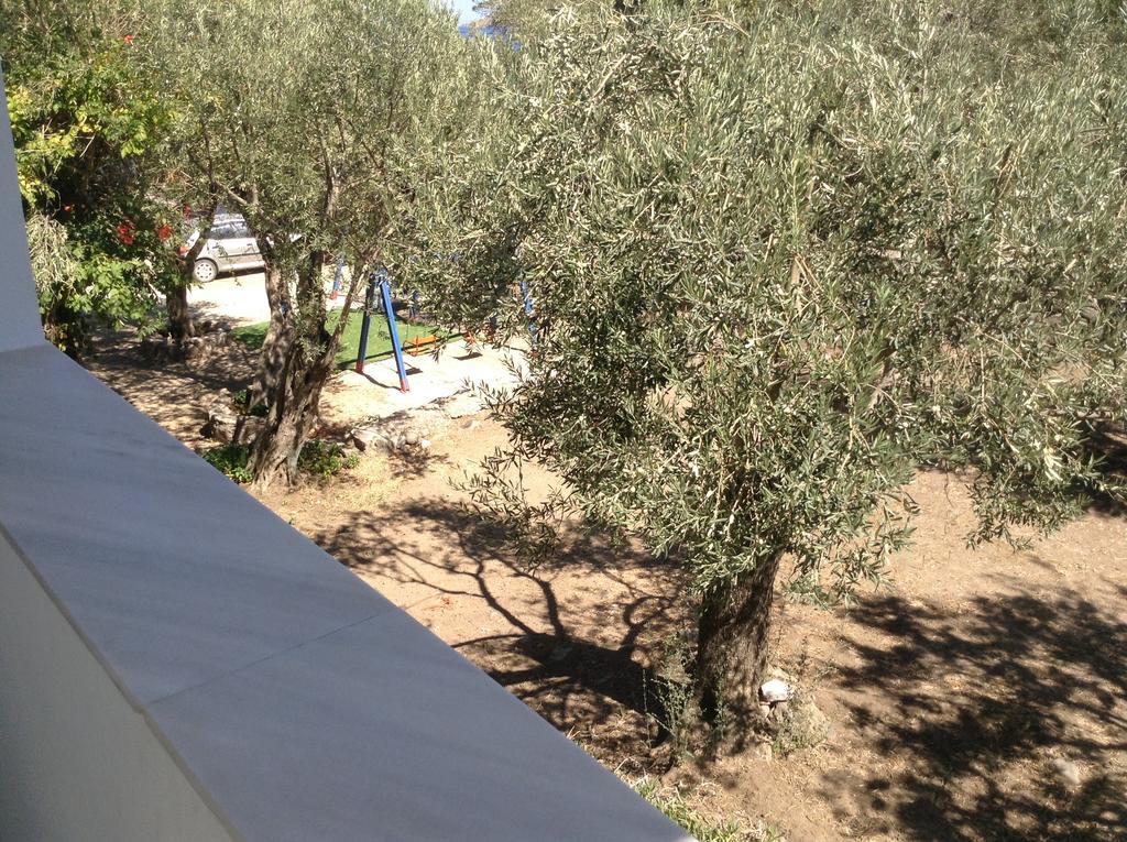 Rooms To Let To Kyma Skala Sikamineas Skala Sykamineas Exterior photo
