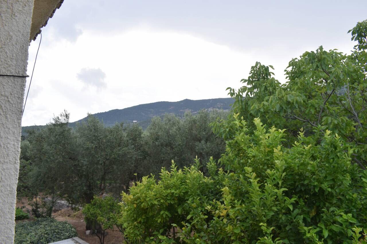 Rooms To Let To Kyma Skala Sikamineas Skala Sykamineas Exterior photo